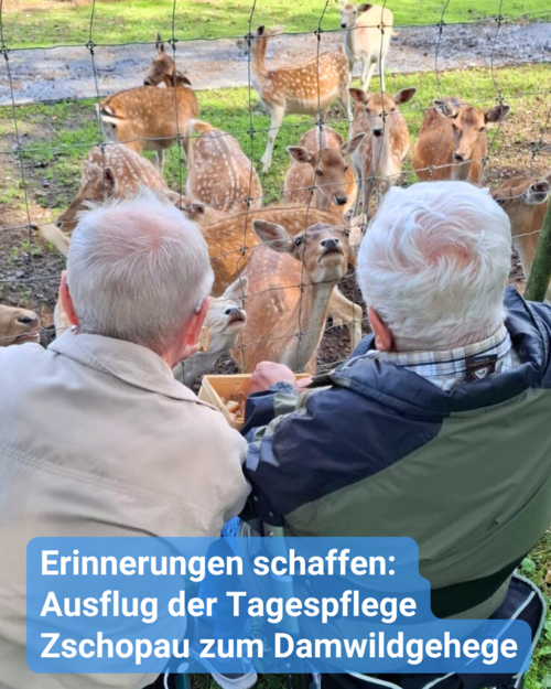 Zwei Senioren sitzen im Rollstuhl vor einem Wildgehege. Bildbeschriftung: Erinnerungen schaffen: Ausflug der Tagespflege Zschopau zum Damwildgehege