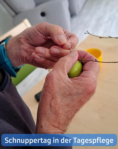 Nahaufnahme der Hände einer älteren Person, die behutsam ein Stück Schnur um einen kleinen, hellgrünen Gegenstand, möglicherweise ein Ei oder einen ähnlich großen Artikel, bindet. Die Hände weisen Falten und Altersflecken auf und sind vor einem unscharfen, hellen Hintergrund positioniert, der auf eine Innenszenerie hindeutet. Auch ein kleiner Zweig oder Ast ist sichtbar, der Teil des Prozesses ist. Ein Stück eines türkisfarbenen Armbands oder einer Halskette ist am linken Handgelenk zu sehen.  Ein Teil eines Tisches ist sichtbar, zusammen mit einem gelben Behälter, der möglicherweise aus Kunststoff besteht und teilweise im Hintergrund zu erkennen ist. Die Gesamthelligkeit ist sanft und diffus, was eine ruhige und friedliche Atmosphäre erzeugt. Am unteren Bildrand ist eine Beschriftung zu sehen: "Schnuppertag in der Tagespflege", was darauf hindeutet, dass das Bild mit einer Aktivität in einer Tagespflegeeinrichtung in Zusammenhang steht, möglicherweise einer Bastel- oder Sinneserfahrung für ältere Menschen.